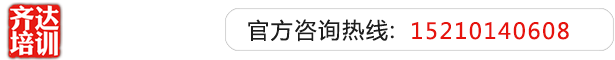 插老妇骚穴流水齐达艺考文化课-艺术生文化课,艺术类文化课,艺考生文化课logo